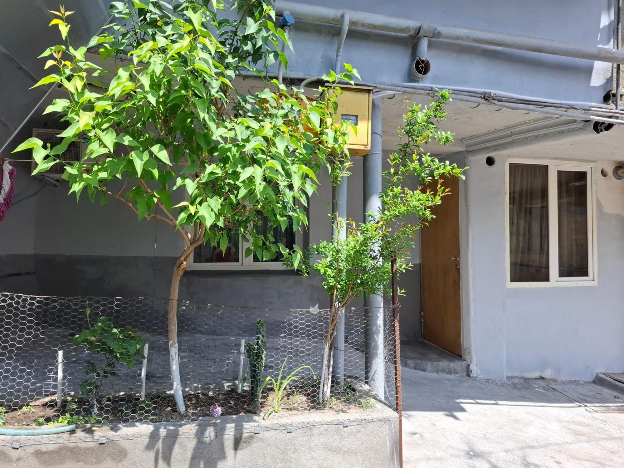 Grig'S Home Erivan Dış mekan fotoğraf
